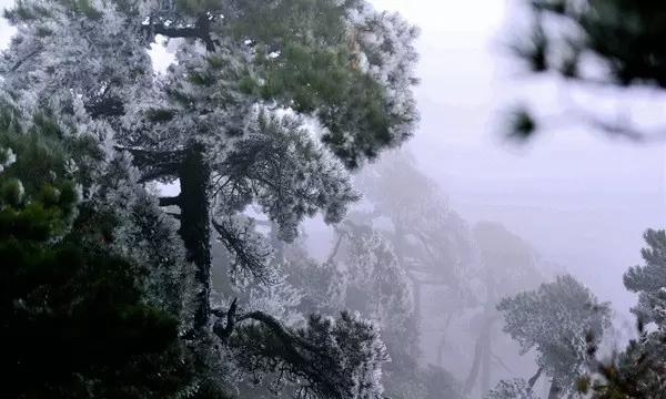 发现之旅