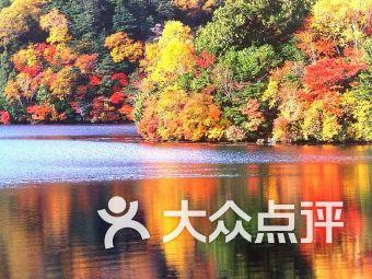 新春走基层丨新农人潘婷:巧手捏出致富增收的“香饽饽”