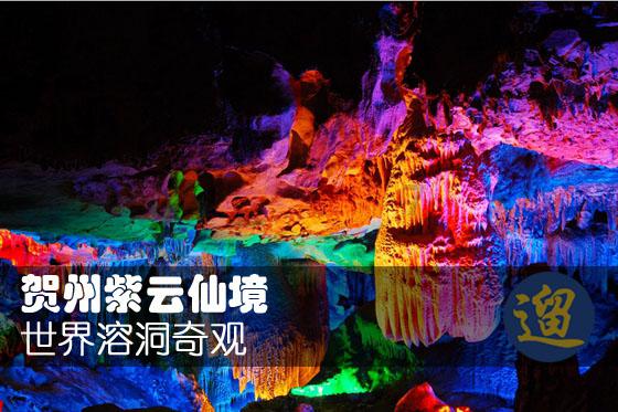 拯救红松鼠