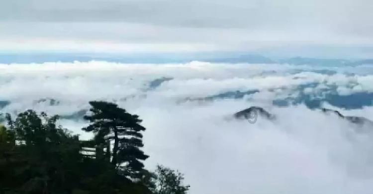 她说你困不住我怎么回，简单一句话？游戏画面