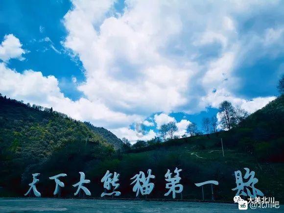 拯救精灵的土地6