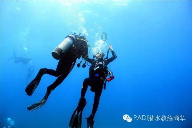 交友软件哪个好用而且还是免费的