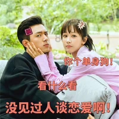 忍者鲨鱼