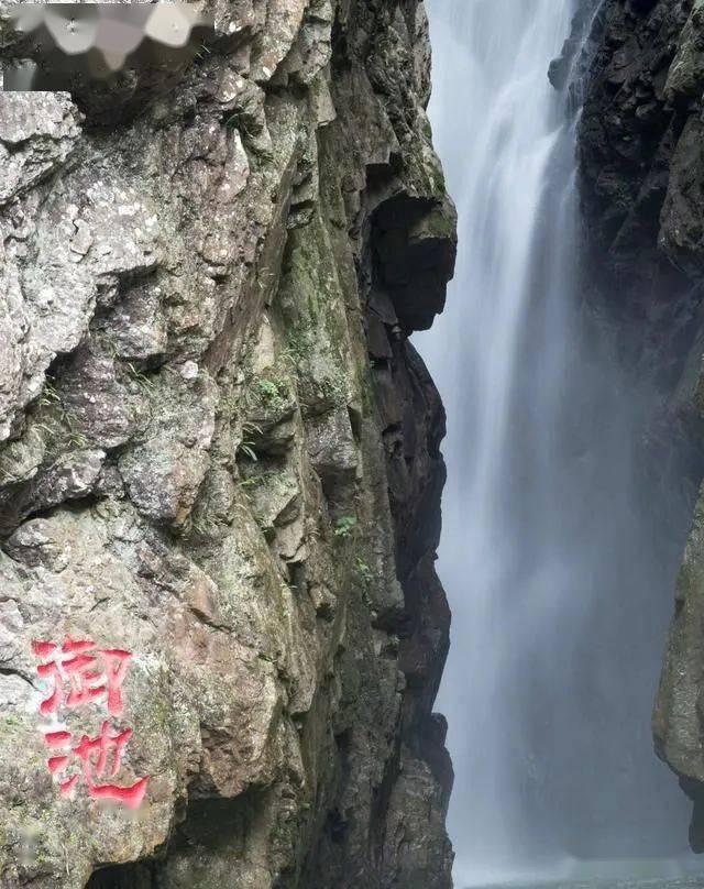 医养融合之后天之本--脾