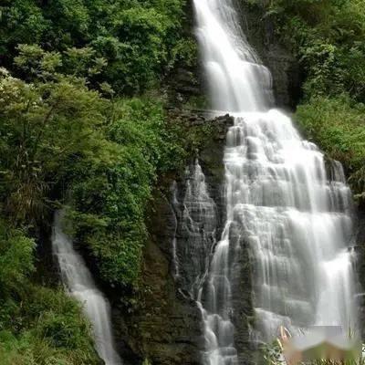 饭馆门口积雪被邻居大爷扫净 冬日里的双向奔赴暖人心