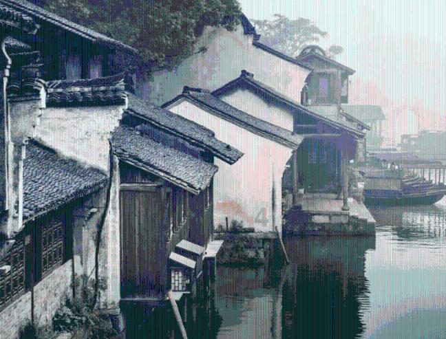 细胞分裂6
