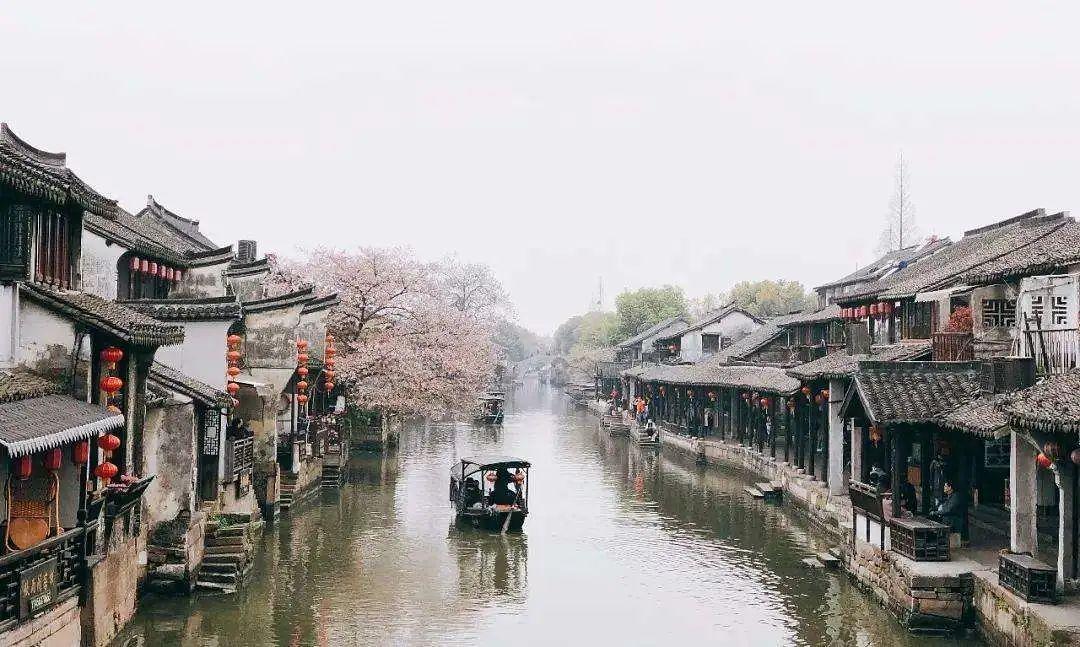 拯救精灵的土地7